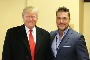 俄乌冲突持续升级,紧张局势愈演愈烈,近日再次传出俄方击落乌军战机,而乌方则坚称将继续与俄军激战的消息。这一地区的冲突已经给双方带来了巨大的损失,引发了国际社会的广泛关注。 俄乌冲突持续升级,紧张局势愈演愈烈,近日再次传出俄方击落乌军战机,而乌方则坚称将继续与俄军激战的消息。这一地区的冲突已经给双方带来了巨大的损失,引发了国际社会的广泛关注。