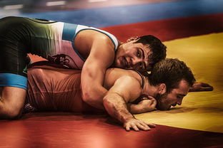 挥拳为中国荣耀而战 —— UFC中国选手的奋斗之路 挥拳为中国荣耀而战 —— UFC中国选手的奋斗之路