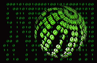 活力四射,口号先行,小学生体育口号大全简洁版 活力四射,口号先行,小学生体育口号大全简洁版