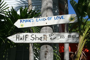 台球精灵潘晓婷,赛场上的优雅舞者 台球精灵潘晓婷,赛场上的优雅舞者