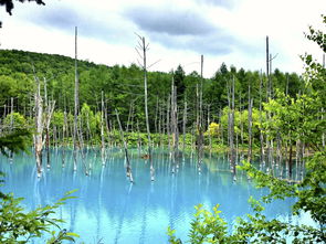 潘晓婷与车侑蓝 潘晓婷与车侑蓝