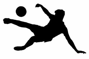 女排传奇中的璀璨明珠 女排传奇中的璀璨明珠