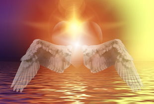 一段传奇爱情的温馨回顾 一段传奇爱情的温馨回顾