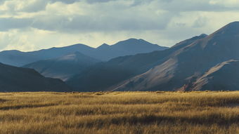 从球场到生活,德拉克斯勒女友的幕后故事 从球场到生活,德拉克斯勒女友的幕后故事