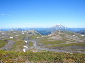 杰威廉姆斯的传奇与启示,探索成功背后的故事 杰威廉姆斯的传奇与启示,探索成功背后的故事