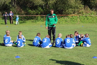 2014年女排世锦赛，中国女排的辉煌篇章与团队精神的力量