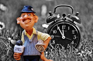 巴西的足球狂欢与世界瞩目