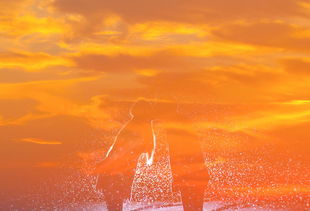 晓庆阿姨在美国考驾照,一次意外的文化碰撞 晓庆阿姨在美国考驾照,一次意外的文化碰撞