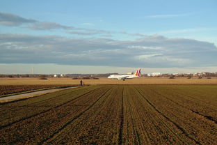 足球之王的最后安息地,马拉多纳为何被葬于郊外? 足球之王的最后安息地,马拉多纳为何被葬于郊外?