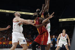 2013年欧冠决赛,拜仁慕尼黑与多特蒙德的巅峰对决 2013年欧冠决赛,拜仁慕尼黑与多特蒙德的巅峰对决