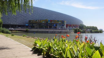 深圳大运会场馆,城市的心跳与未来发展的动力源泉 深圳大运会场馆,城市的心跳与未来发展的动力源泉