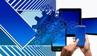 中国体育,明亮的心—电子版 中国体育,明亮的心—电子版