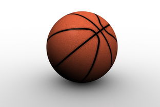 CBA联赛官网，篮球迷的数字家园