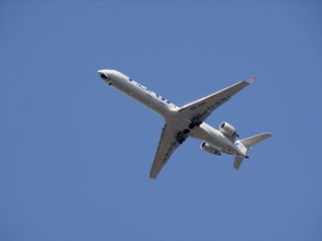 贵州战疫新动态,最新疫情消息速递 贵州战疫新动态,最新疫情消息速递