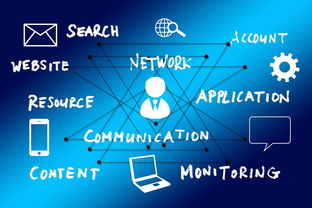 体育场单词的正确书写与应用 体育场单词的正确书写与应用