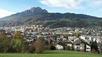 北京疫情新动态,3例新型肺炎病例带来的警示与应对 北京疫情新动态,3例新型肺炎病例带来的警示与应对