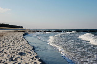 体育频道5节目单,你的体育盛宴指南 体育频道5节目单,你的体育盛宴指南