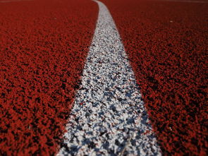 探索运动场的英文单词,从田径到球场的全方位指南 探索运动场的英文单词,从田径到球场的全方位指南