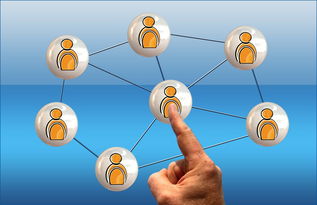 福建31选7,深入了解开奖信息与策略 福建31选7,深入了解开奖信息与策略