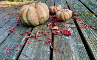 安徽省新增病例追踪,了解疫情动态,加强防控意识 安徽省新增病例追踪,了解疫情动态,加强防控意识