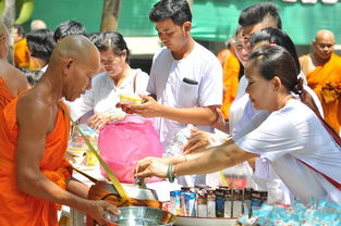 足球,绿茵场上的激情与梦想 足球,绿茵场上的激情与梦想