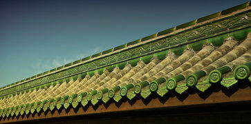 北京疫情新动态,24小时内新增55例,市民生活与防控措施紧密相连 北京疫情新动态,24小时内新增55例,市民生活与防控措施紧密相连