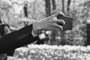 手机新浪网股票首页最新,解读市场动态,把握投资先机 手机新浪网股票首页最新,解读市场动态,把握投资先机