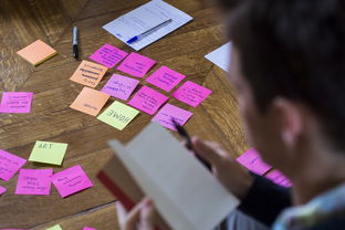 巴黎奥运精神，全球团结与卓越追求的典范