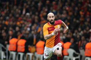 解锁健身新境界,深入了解GHR健身器材的奥秘 解锁健身新境界,深入了解GHR健身器材的奥秘