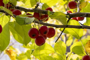 北京疫情新动态,新增31例确诊,我们如何应对? 北京疫情新动态,新增31例确诊,我们如何应对?