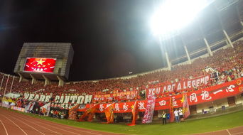 运动,激活健康生活的神奇钥匙 运动,激活健康生活的神奇钥匙