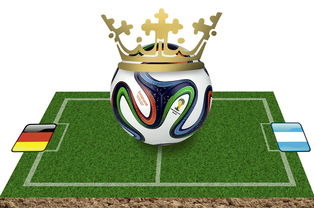 运动场上的智慧,解锁体育相关知识的力量 运动场上的智慧,解锁体育相关知识的力量