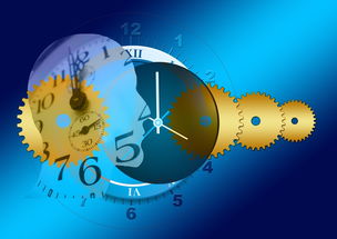 体育精神,竞技场上的道德灯塔 体育精神,竞技场上的道德灯塔