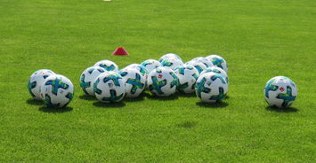 探索上海海港足球场,城市心脏的足球圣地 探索上海海港足球场,城市心脏的足球圣地