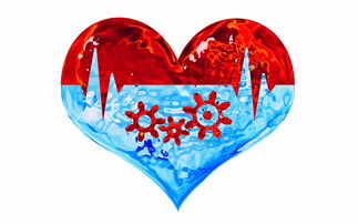 体育馆,社区活力的心脏 体育馆,社区活力的心脏