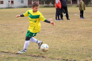 绿茵场上的智者,球赛分析师招募,开启你的足球分析之旅 绿茵场上的智者,球赛分析师招募,开启你的足球分析之旅