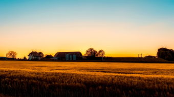 国足01的挑战,一场失利,一次成长 国足01的挑战,一场失利,一次成长