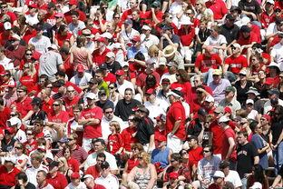 蓝鲸体育官网首页，体育迷的数字家园