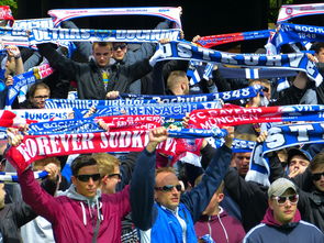 巴黎奥运会表彰大会,庆祝运动精神,激励未来梦想 巴黎奥运会表彰大会,庆祝运动精神,激励未来梦想