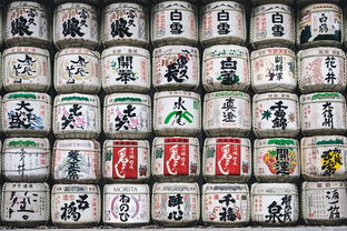 排三奖号查询表，你的彩票中奖指南