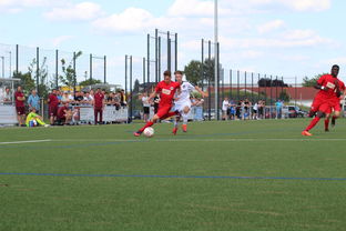 搜狐体育官网手机版下载,随时随地享受体育盛宴 搜狐体育官网手机版下载,随时随地享受体育盛宴