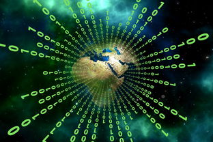 小星星,大能量,小学生体育之星的闪耀事迹 小星星,大能量,小学生体育之星的闪耀事迹