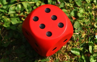 探索体育软件,提升运动体验的数字工具 探索体育软件,提升运动体验的数字工具